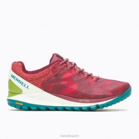 Merrell antora 2 print (j067392) HBNB1182 - Merrell Paljasjalkakengät Suomi koralli naiset kenkiä